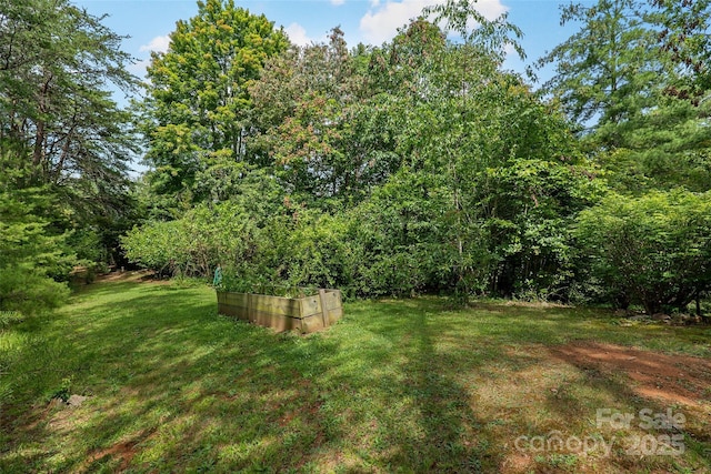 15 Willow Knolls Dr, Weaverville, NC 28787 - photo 34
