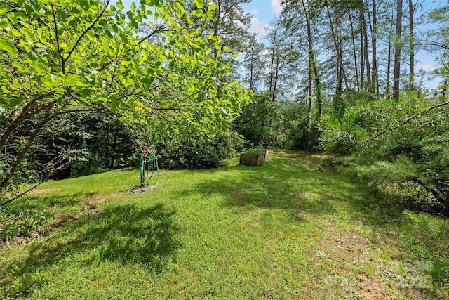 15 Willow Knolls Dr, Weaverville, NC 28787 - photo 37