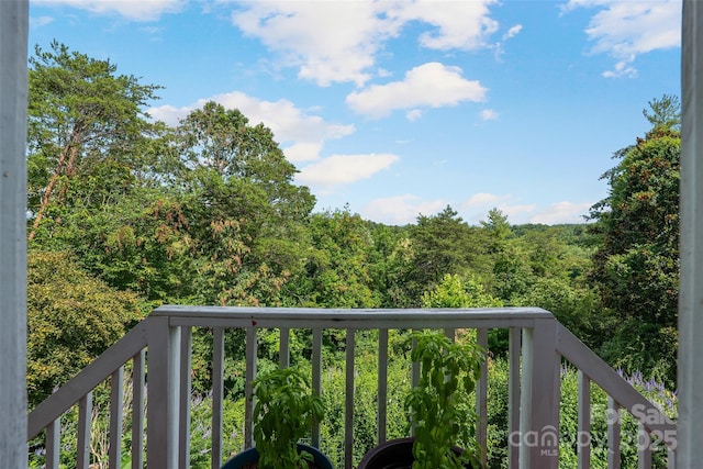 15 Willow Knolls Dr, Weaverville, NC 28787 - photo 43