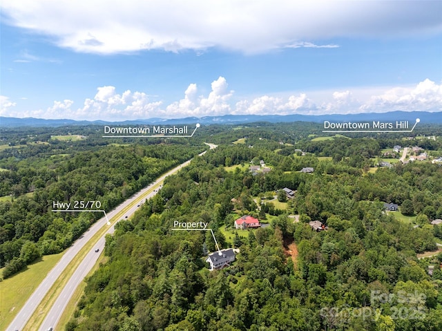 15 Willow Knolls Dr, Weaverville, NC 28787 - photo 48