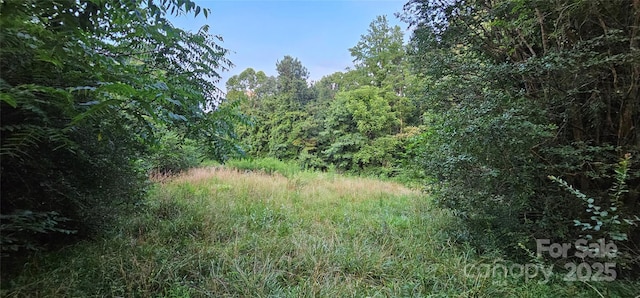 199 Ford Rd, Ellenboro, NC 28040 - photo 2