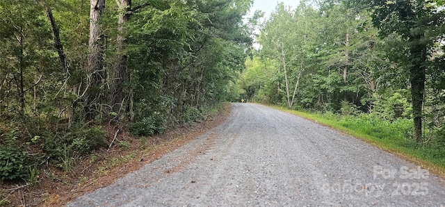 199 Ford Rd, Ellenboro, NC 28040 - photo 4