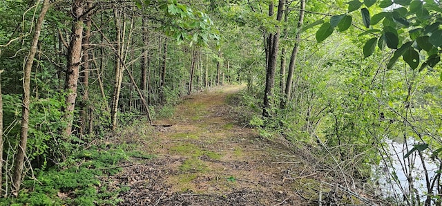 199 Ford Rd, Ellenboro, NC 28040 - photo 6