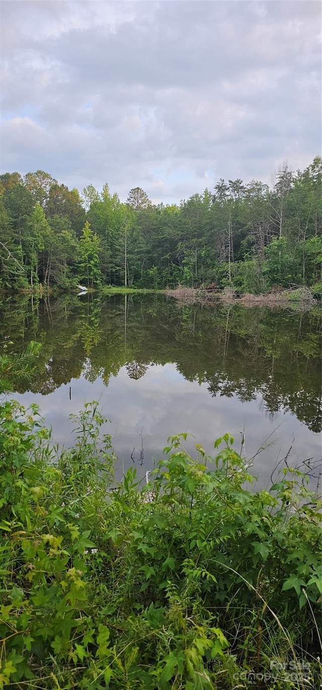 199 Ford Rd, Ellenboro, NC 28040 - photo 7