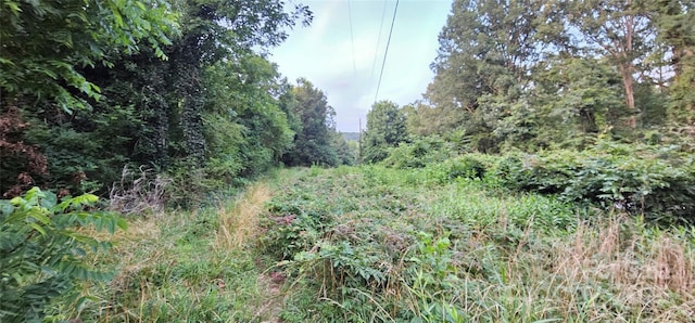199 Ford Rd, Ellenboro, NC 28040 - photo 8