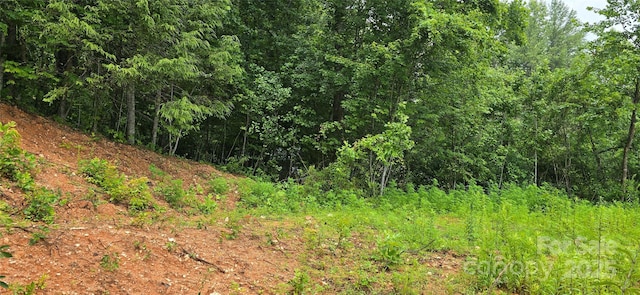 6490 Globe Rd, Lenoir, NC 28645 - photo 33