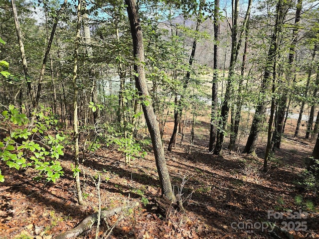 6490 Globe Rd, Lenoir, NC 28645 - photo 39