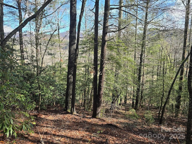 6490 Globe Rd, Lenoir, NC 28645 - photo 40