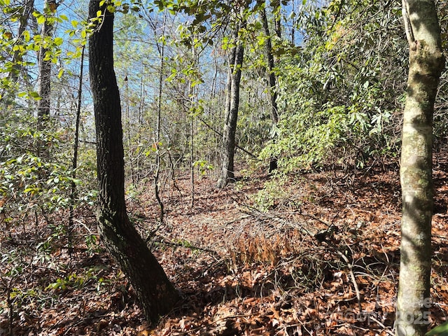 6490 Globe Rd, Lenoir, NC 28645 - photo 41