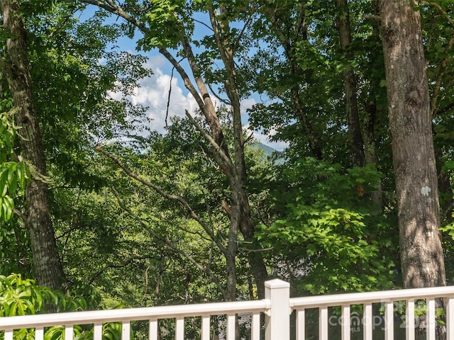 365 Jonathan Creek Dr, Etowah, NC 28729 - photo 17
