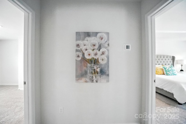 3038 Lydney Cir, Waxhaw, NC 28173 - photo 24