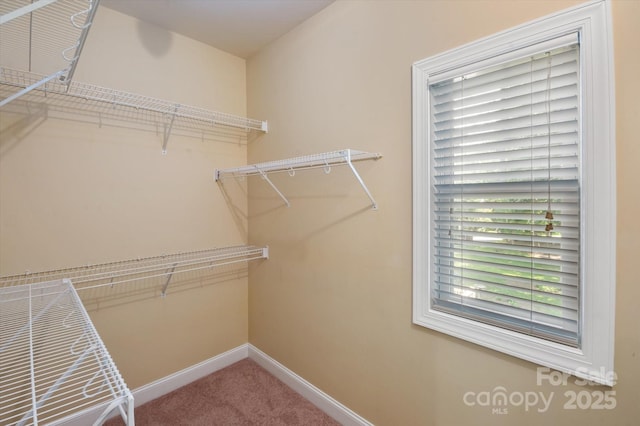 209 Duncan Estate Dr, Fletcher, NC 28732 - photo 21