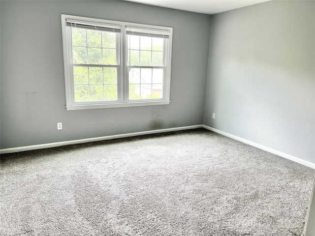 1422 Delane Ave Unit 4, Charlotte, NC 28211 - photo 11