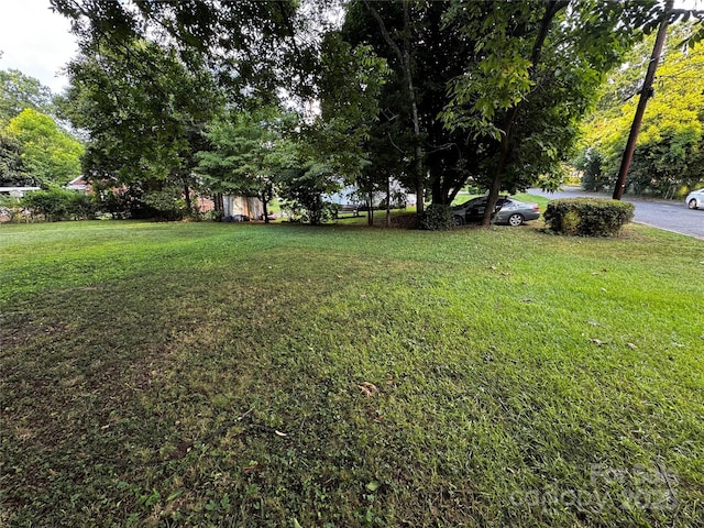 1010 Lomond Ave, Charlotte, NC 28206 - photo 2