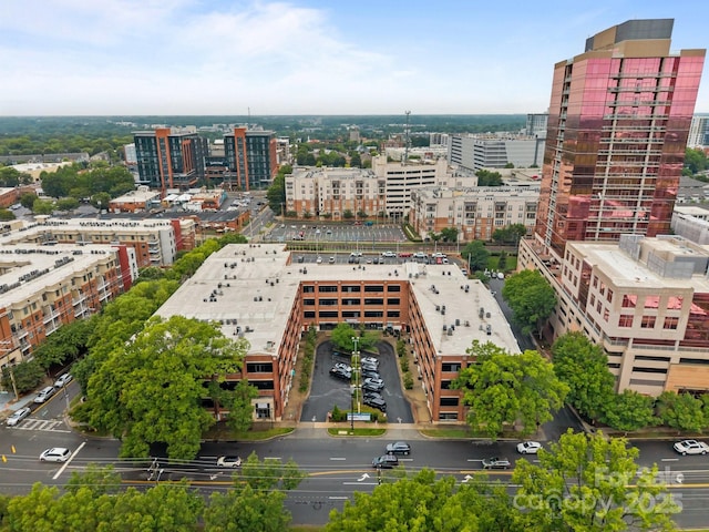 310 Arlington Ave Unit 207, Charlotte, NC 28203 - photo 22