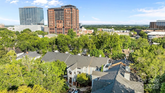 300 E Park Ave, Charlotte, NC 28203 - photo 25