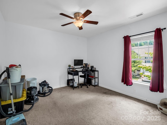 137 Thea Ln, Fletcher, NC 28732 - photo 26