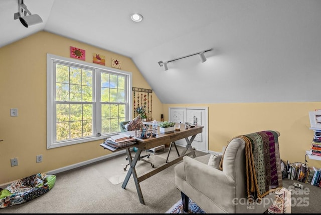 42 Surrey Run, Asheville, NC 28803 - photo 39