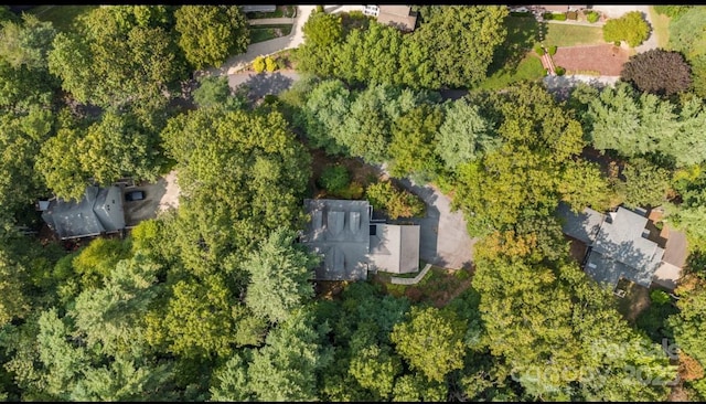 42 Surrey Run, Asheville, NC 28803 - photo 41
