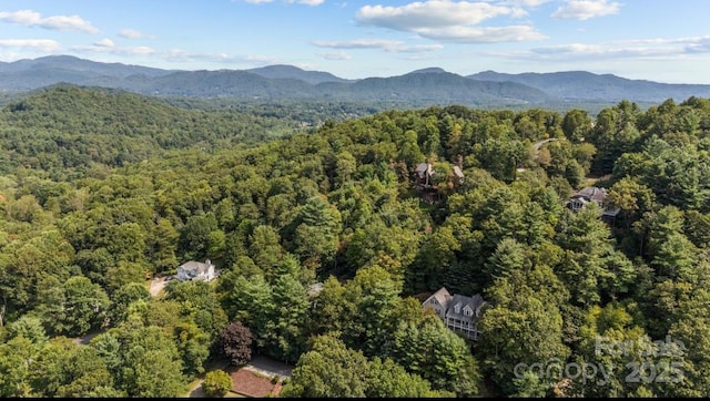 42 Surrey Run, Asheville, NC 28803 - photo 42