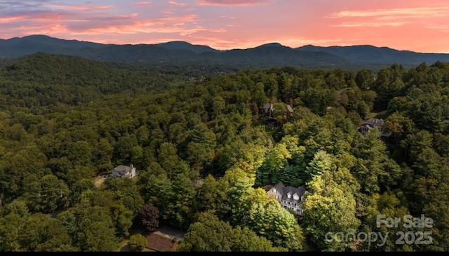 42 Surrey Run, Asheville, NC 28803 - photo 43