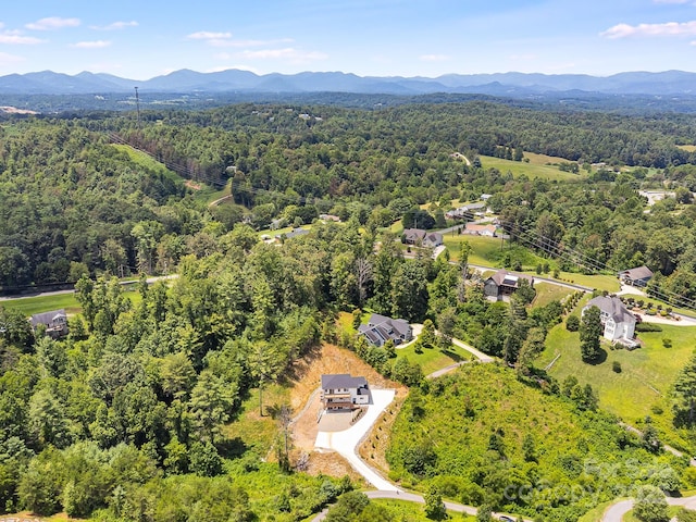 115 Nader Ave, Weaverville, NC 28787 - photo 40