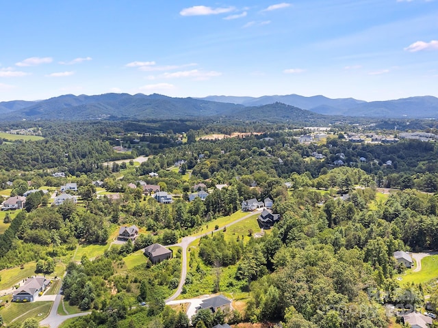 115 Nader Ave, Weaverville, NC 28787 - photo 41
