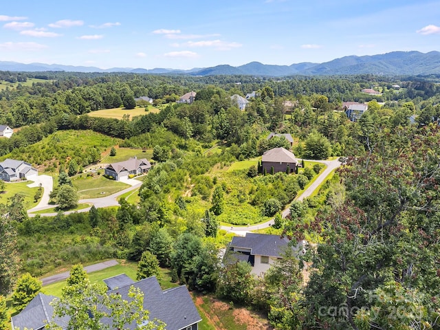 115 Nader Ave, Weaverville, NC 28787 - photo 42