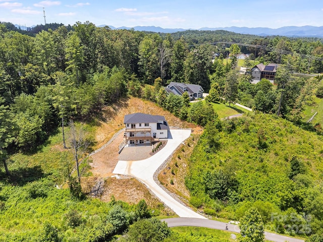 115 Nader Ave, Weaverville, NC 28787 - photo 43
