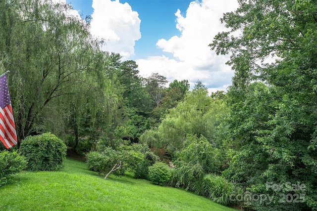 303 Barnardsville Hwy, Weaverville, NC 28787 - photo 6