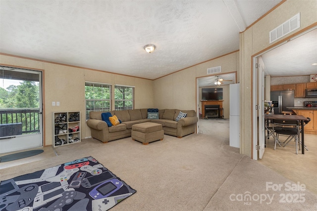 303 Barnardsville Hwy, Weaverville, NC 28787 - photo 10