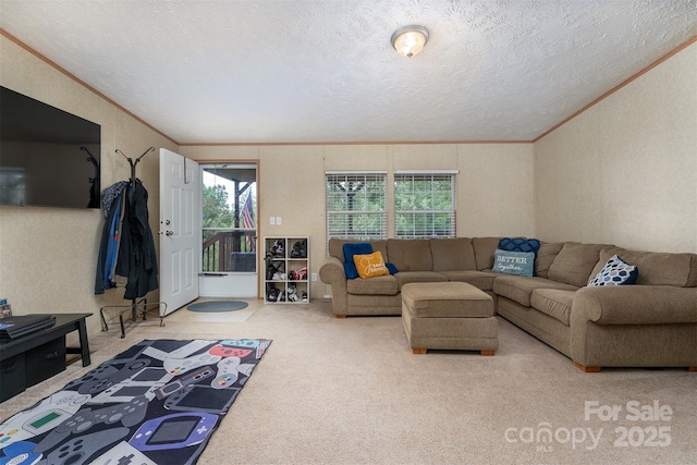 303 Barnardsville Hwy, Weaverville, NC 28787 - photo 11