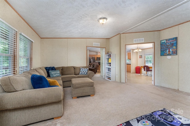 303 Barnardsville Hwy, Weaverville, NC 28787 - photo 12