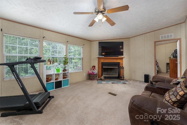 303 Barnardsville Hwy, Weaverville, NC 28787 - photo 13