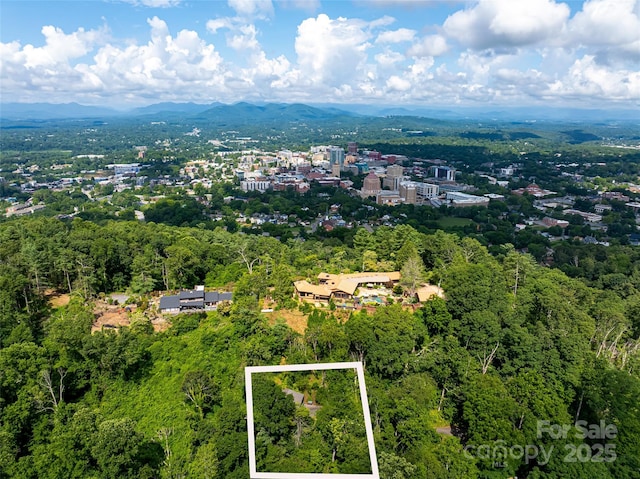 3 N Delano Rd, Asheville, NC 28805 - photo 1