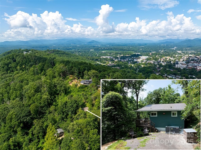 3 N Delano Rd, Asheville, NC 28805 - photo 2