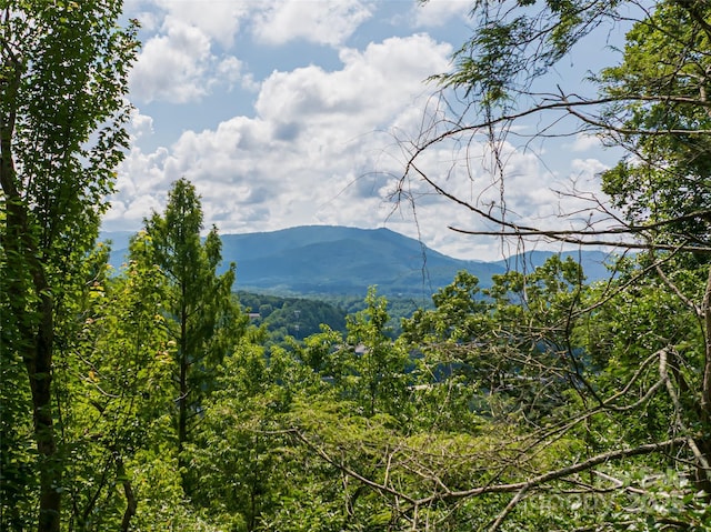 3 N Delano Rd, Asheville, NC 28805 - photo 5