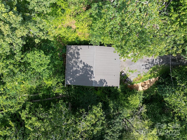 3 N Delano Rd, Asheville, NC 28805 - photo 8