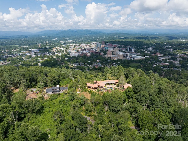 3 N Delano Rd, Asheville, NC 28805 - photo 9