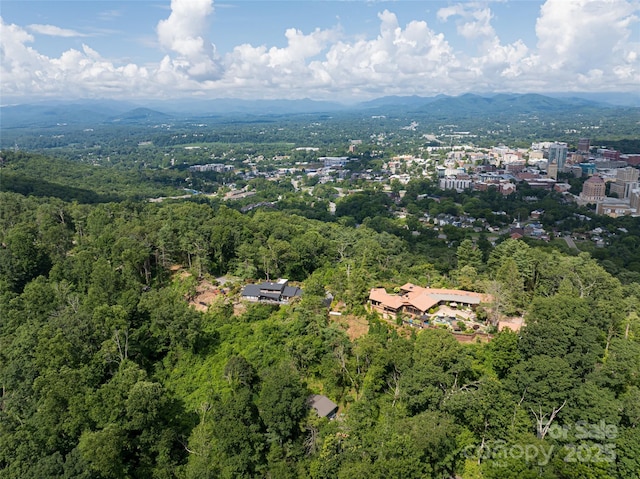 3 N Delano Rd, Asheville, NC 28805 - photo 10