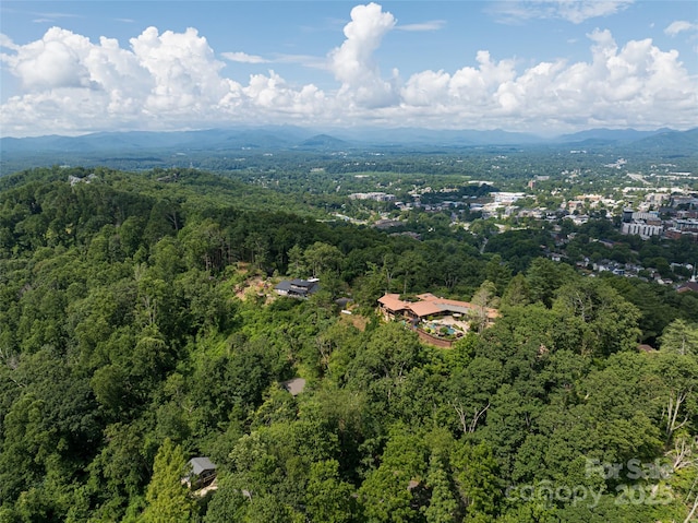 3 N Delano Rd, Asheville, NC 28805 - photo 11
