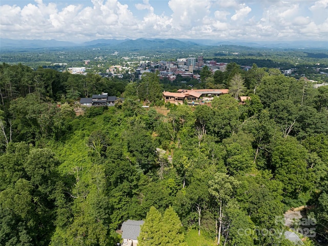 3 N Delano Rd, Asheville, NC 28805 - photo 12