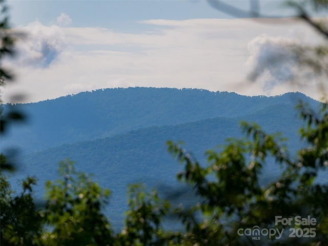 3 N Delano Rd, Asheville, NC 28805 - photo 17