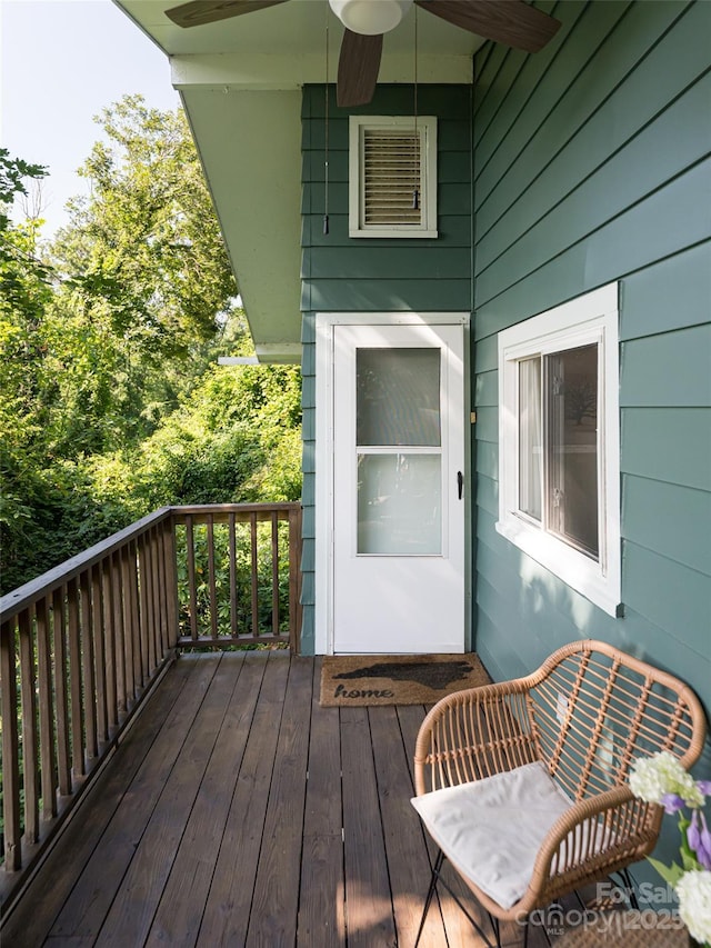 3 N Delano Rd, Asheville, NC 28805 - photo 19