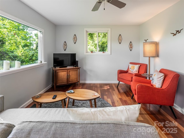 3 N Delano Rd, Asheville, NC 28805 - photo 20