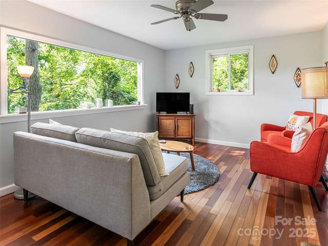 3 N Delano Rd, Asheville, NC 28805 - photo 21