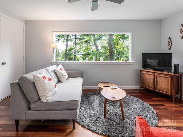 3 N Delano Rd, Asheville, NC 28805 - photo 23