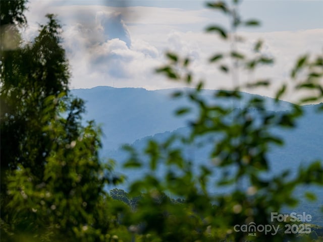 3 N Delano Rd, Asheville, NC 28805 - photo 43