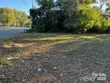 2411 Carmine St, Charlotte, NC 28206 - photo 1