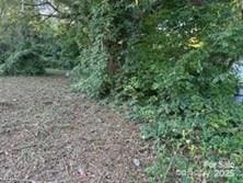 2411 Carmine St, Charlotte, NC 28206 - photo 2